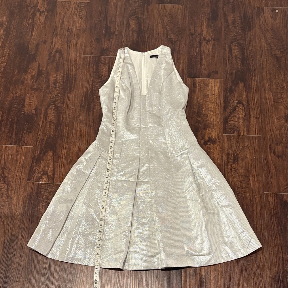 Carmen Marc Valvo Shimmering Silver Dress